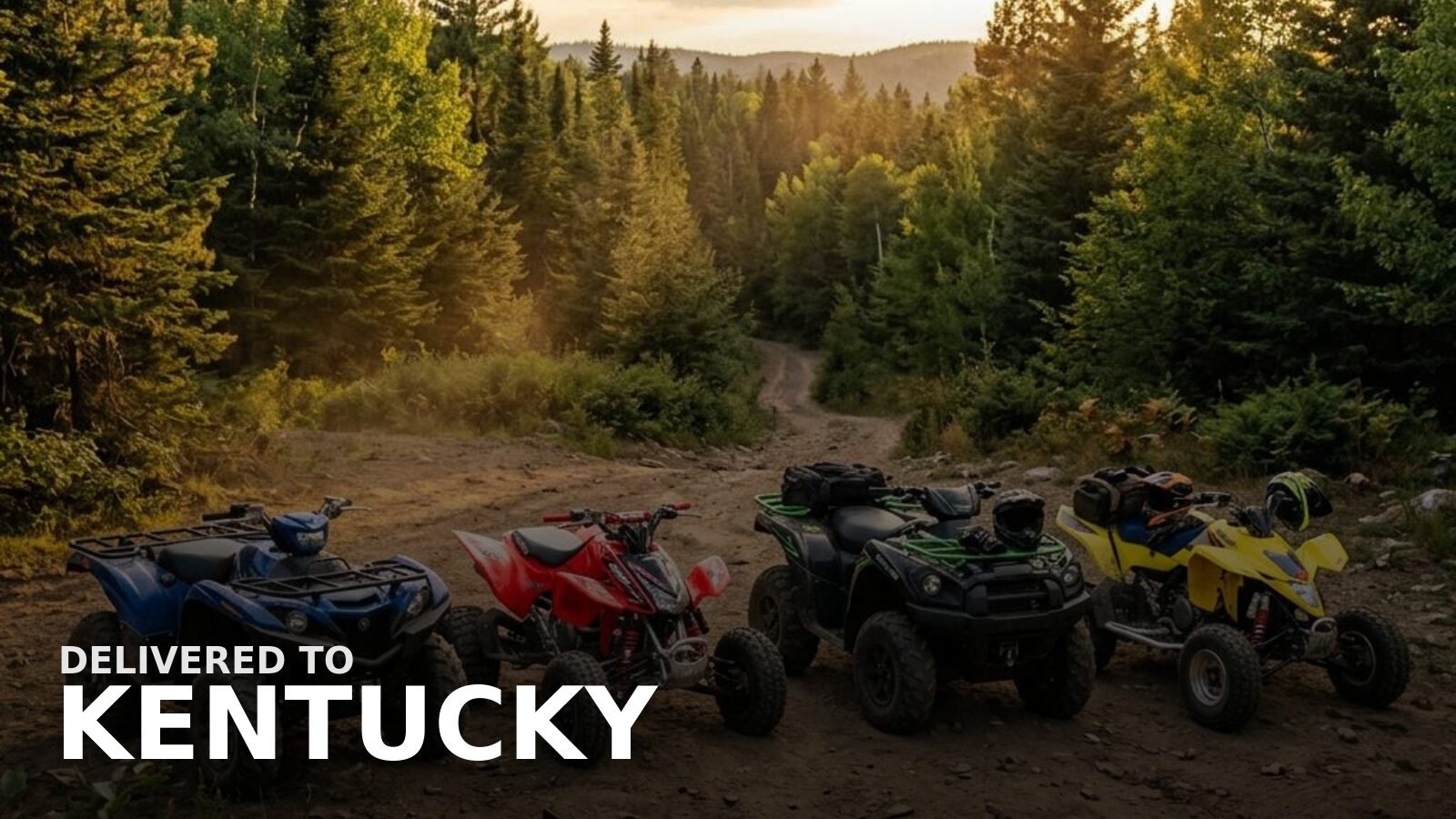 New powersports delivered to Kentucky — a dirt bike on a wooded Appalachian foothill trail