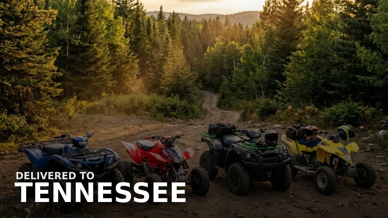New powersports delivered to Tennessee — a gas ATV on a Smoky Mountain foothill trail