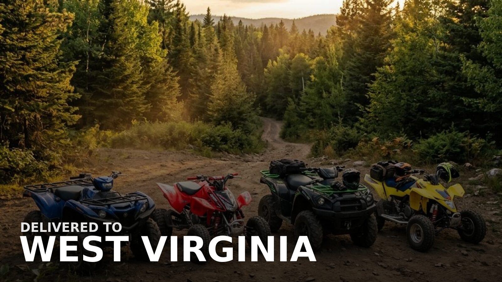 New powersports delivered to West Virginia — a gas ATV on a mountain trail cut through hardwoods